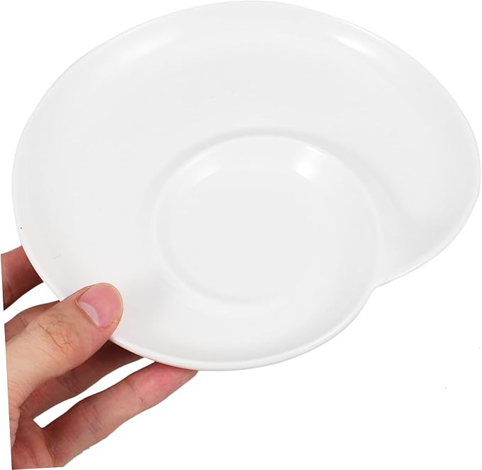 Ceramic Divided Serving Plate Set Creative Dumpling and Sushi Dipping Tray Elegant Food Platter for Appetizers and Snacks for Home and Restaurant Use