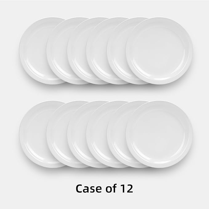 Stoneware Narrow Rim Commercial Grade Dinnerware Bright White, Dinner Plate 10.5", Case of 12
