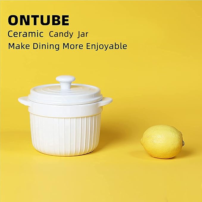 ONTUBE Ceramic Candy Jar with Lid 17oz, Porcelain Cookies Jar Candy Dishes (White)