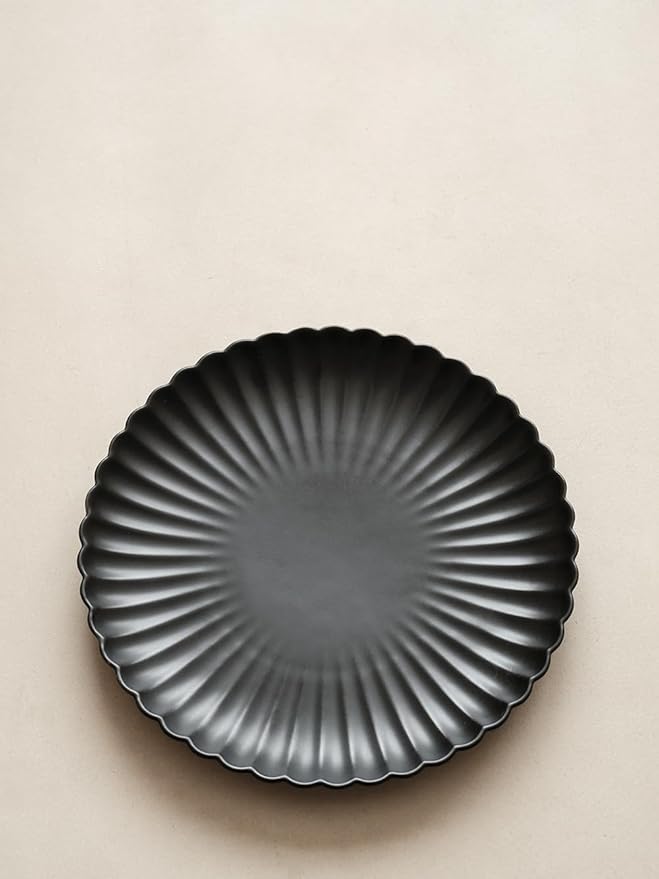 WENSHUO Daisy Plates Set of 6 (Matte Black, 10.5 Inch)