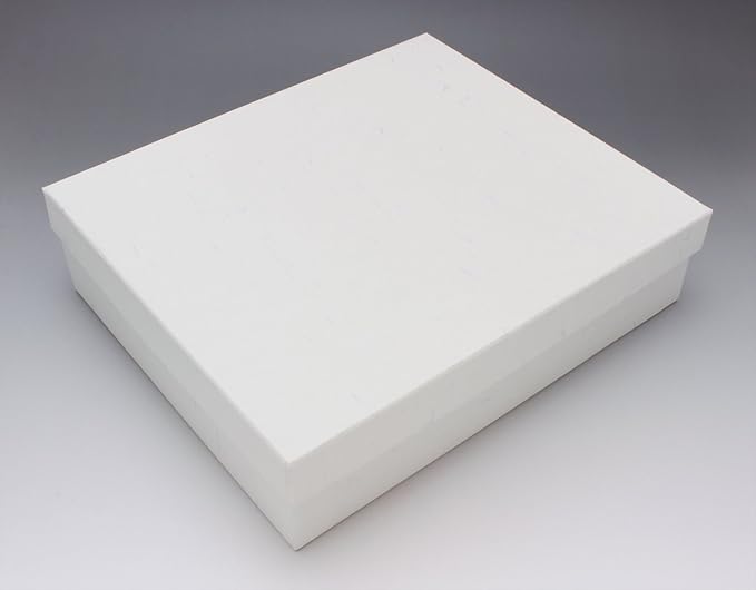Kiln Original SOUSEN Medium Plate, White, Set in Box, Seto Ware Tableware Gift Set, Fruit (Strawberry) Pattern, 5 Pieces