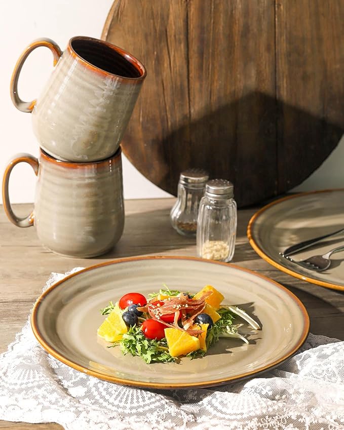 HASENSE Porcelain Dinnerware Set of 4, 10 Inch Ceramic Dinner Plates Set of 4 for Kitchen Counter, Large ceramic Dishes Set for Steak, Salad and Dinner, Microwave and Dishwasher Safe, Brown