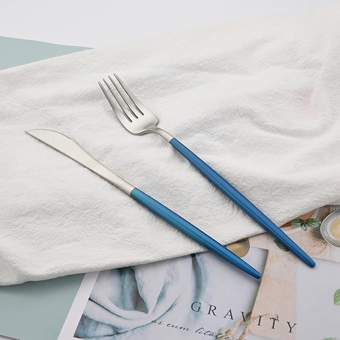 18/10 Stainless Steel Matte Flatware Set (1, Blue Silver)