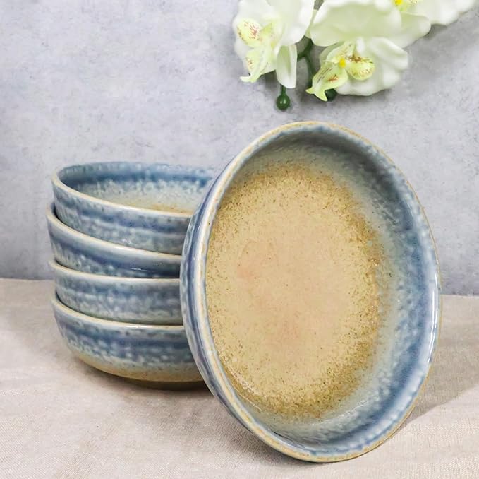 Ebros Gift Artistic Blue River Ao Nagashi Collection Dinnerware Serveware Kitchenware Set Asian Japanese Restaurant Supply (Pack Of 5 Shallow Bowl Deep Plates 10oz)