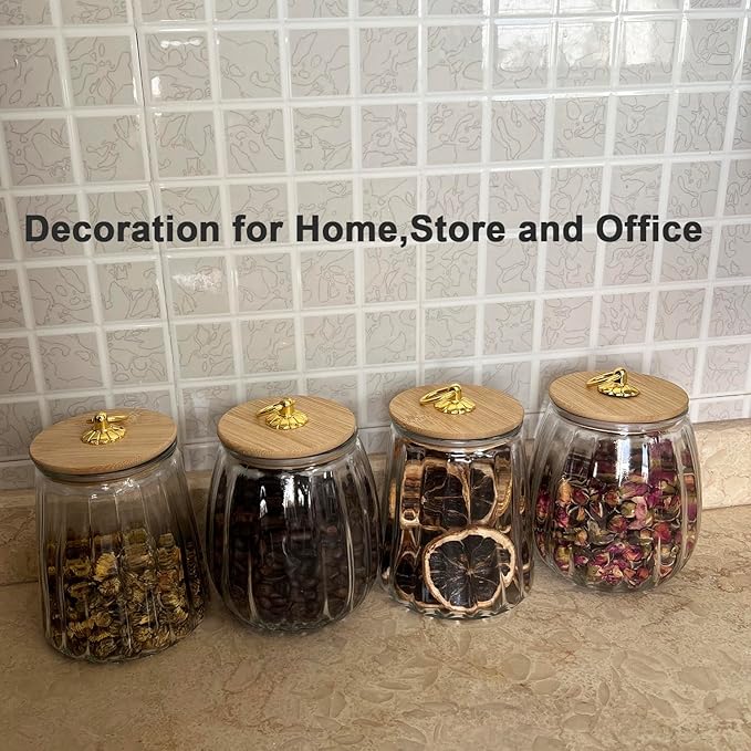 Glass Airtight Storage Jars with Spoons,Bamboo Lid Canister for Foods,Decorative Container with Metal Handle Easy to Grasp 2Pack Oval
