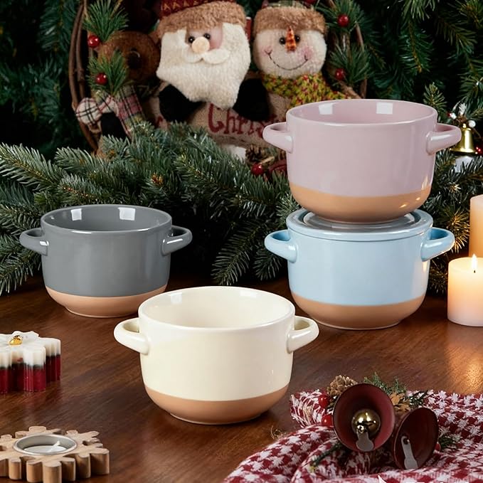 AmorArc 24 Ounces Soup Bowls with Large Handles and Lids, Stoneware Bowls Set of 2 for Soup, Cereal, Stew, Noodle, Colourful Ceramic Kitchen Bowls, Microwave&Dishwasher Safe, Blue&Pink
