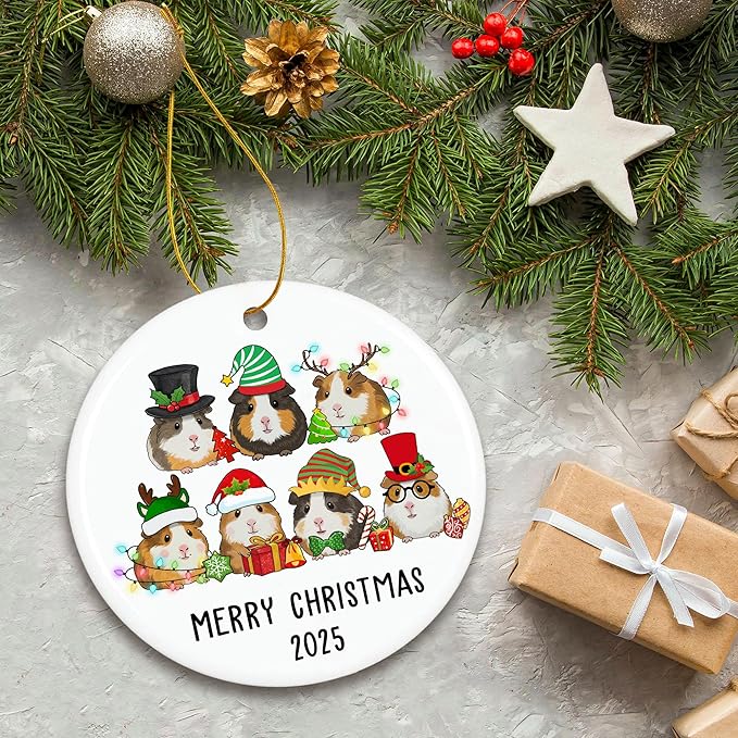 ZAGKOO Guinea Pig Christmas Ornament - Funny Guinea Pig Gifts - Cute Pet Ornaments for Christmas Tree, Animal Lover Gift Ideas - Ceramic Xmas Tree Ornaments Holiday Decor 2025