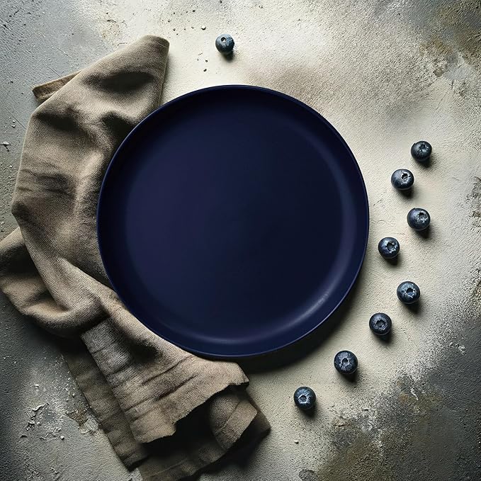 MÜLLERHEIM 903 Minimalist Collection 16-Piece Contemporary Ceramic Stoneware Dinnerware Sets for 4, Blueberry Plates and Bowls sets, Dinner Plates Set, Salad Dish Set, Bowls, Cup