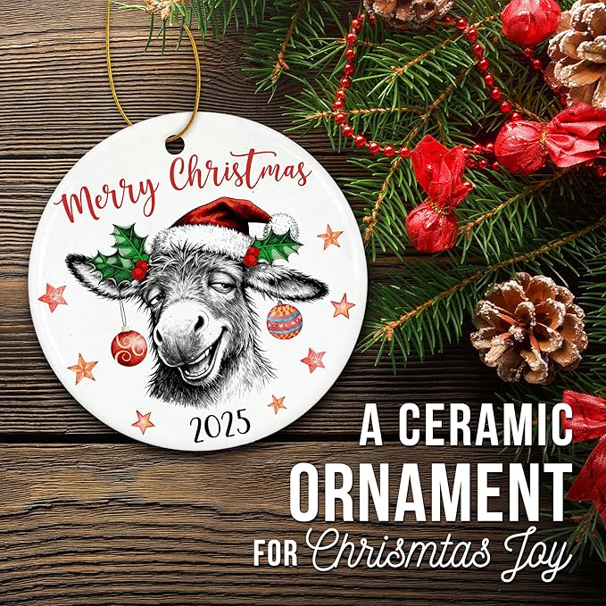 ZAGKOO Donkey Ornaments for Christmas Tree - Funny Donkeys Gifts for Women, Men, Farmers, Donkey Lovers - Funny Ornaments Exchange Ideas, Holiday Presents - Ceramic Xmas Tree Ornament Decoration