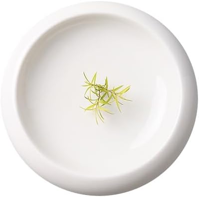 Dinner Plates Ceramic Round Western Tableware With A Pure White Fusion Dish And Vegetarian Plate Per Person Kitchen Salad Bowl
