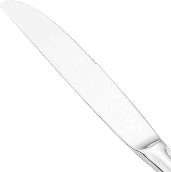 Soro Essentials- 18/8 Stainless Steel Simplicity Hollow Handle Table Knife 13 Gauge Set of 12- Serving Utensils Serving Flatware Cutlery Kitchen Tableware Buffet Serving Utensils for Home Kitchen and Restaurant