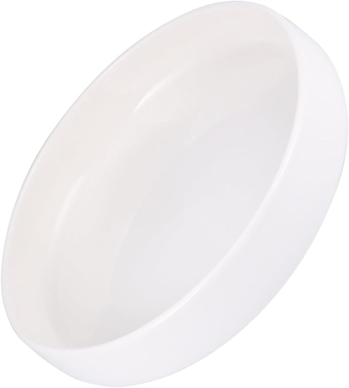 BESPORTBLE Ceramic Food Serving Plate 21cm Glossy White Shallow Dinner Plate Multi-use Western Style Pasta and Steak Dish for Home Kitchen and Restaurant