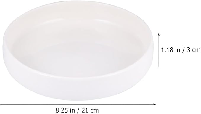 Ceramic Steak Plate and Salad Appetizer Plate White Glossy 21cm Household Western Dinnerware for Pasta Breakfast and Restaurant Use
