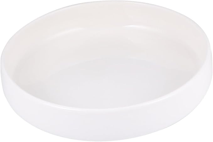 PRETYZOOM Delicate Ceramic Dinner Plate Small Sushi Plate Pasta Steak Salad Oven Freezer Safe White