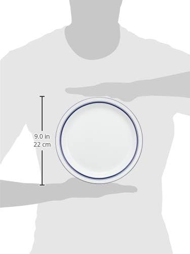 DANSR DANSK Bistro Salad Plate, 8.9 inches (22.5 cm), Microwave, Oven & Dishwasher Safe TH07302CL Dishes Blue Line DANSK Dansk Danish Tradition Elegant Simple Ceramic Bistro Salad Plate Diameter 8.9