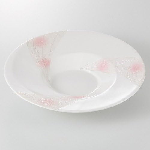 Ichin Silver Color 7.5 Plate, 9.3 x 1.5 inches (23.7 x 3.7 cm), 18.8 oz (525 g), Appetizer Plate, Restaurant, Ryokan, Japanese Tableware, Restaurant, Commercial Use
