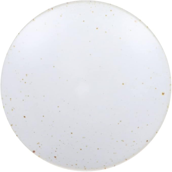 Cabilock Japanese Style Ceramic Snack Plate Handmade Dish for Sauces and Appetizers Decorative Tableware for Parties and Celebrations White Lightweight Safe Material