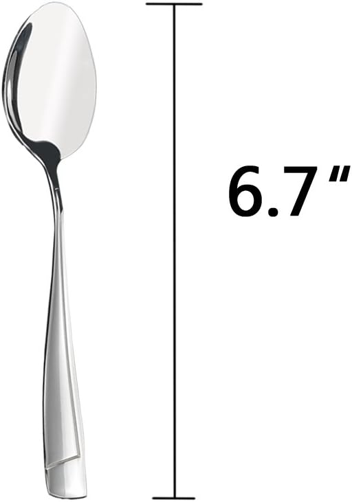 Cand 16 Pieces Stainless Steel Dessert Spoons, 6.69-Inch