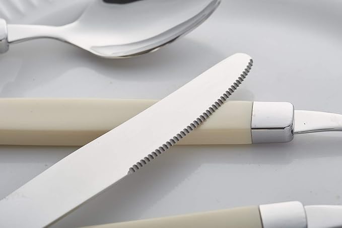 ANNOVA Silverware Set Stainless Steel Colorful Tableware Kitchen Flatware Set Utensils, Includes Dinner Knives, Forks, Spoons, Salad Forks & Dessert Spoons (Cream, 20 Pieces)