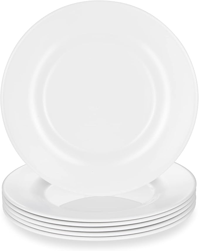 10 Inch White Melamine Plates Wide Side Flat Bottom Deep Round Dinner Plates Salad and Dessert Plates Lightweight Durable and Easy to Clean,Non Ceramic Disc Pad Set of 6,PYW-10-06