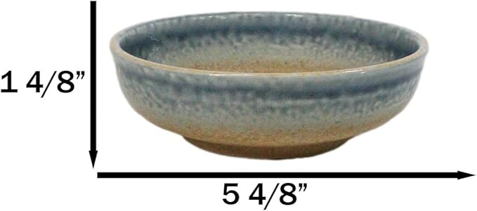 Ebros Gift Artistic Blue River Ao Nagashi Collection Dinnerware Serveware Kitchenware Set Asian Japanese Restaurant Supply (Pack Of 5 Shallow Bowl Deep Plates 10oz)