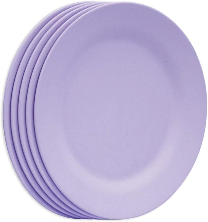 11 Inch Dinner Plate Set, Extra Large Pasta Plates, Unbreakable Dishes, Lightweight Wheat Straw Salad Dinnerware, Reusable Fiber Dessert Tableware (Purple)