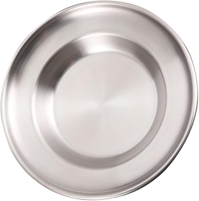 Healifty Stainless Steel Dinner Plate Pastry Serving Tray for Home Restaurant Bar Lightweight Easy to Tray for Fruit Snacks and Barbecued Meat