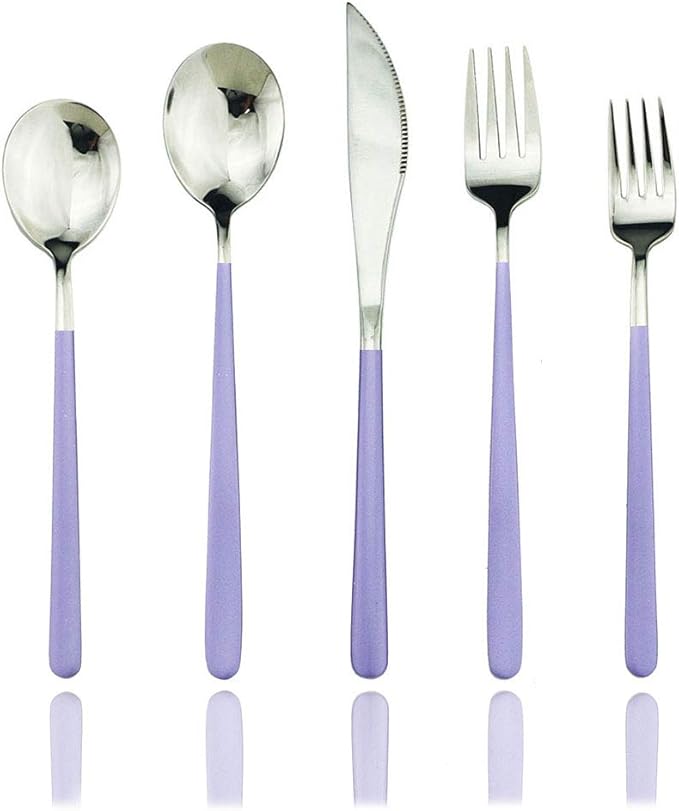 JASHII SUS304 Stainless Steel Flatware Cutlery Set For Home Kitchen Restaurant Hotel, Mirror Polished, 20-Piece Silverware Set for 4, Dishwasher Safe(Purple silver)