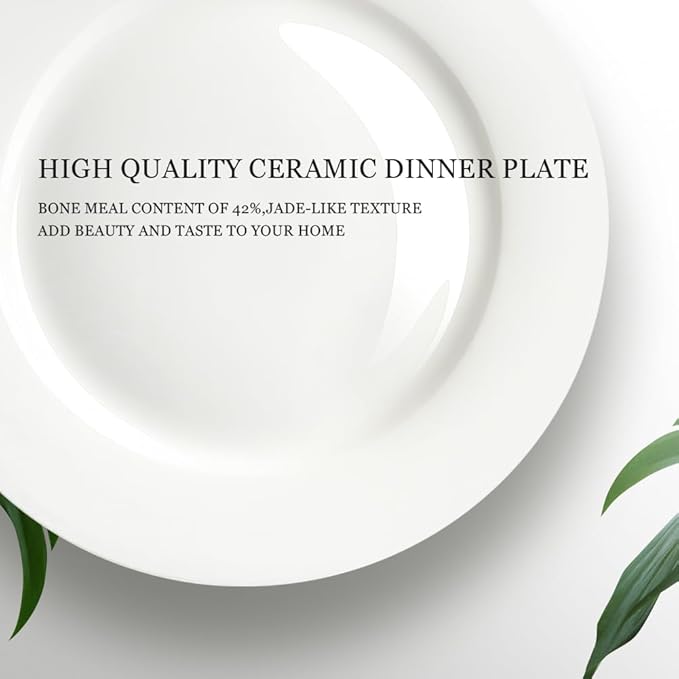 IQCWOOD Ceramic White Dinner Plates Set of 6, 10.5 Inch Round Plates for Pizza Salad Pasta Appetizer Steak Porcelain Serving Dishes Restaurant Dishes, Salad Plates, Scratch Resistant