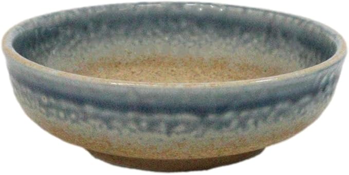 Ebros Gift Artistic Blue River Ao Nagashi Collection Dinnerware Serveware Kitchenware Set Asian Japanese Restaurant Supply (Pack Of 5 Shallow Bowl Deep Plates 10oz)