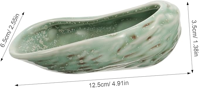 Elegant Ceramic Plates Oyster Shell Design Food Serving Dinnerware Versatile