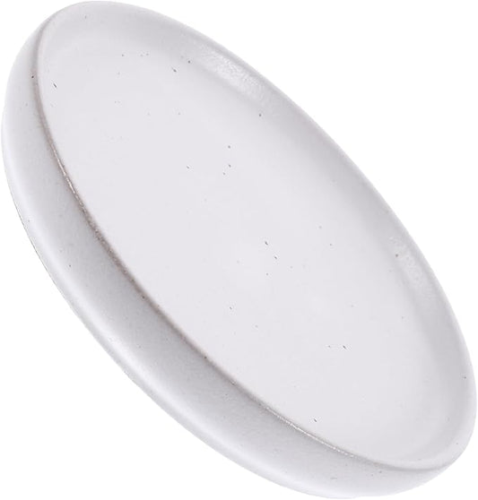 Vintage Ceramic Appetizer Plate Sushi Serving Dish Multi Use Snack Tray for Fruits and Appetizers Elegant Display Plate for Home Entertaining and Special Occasions