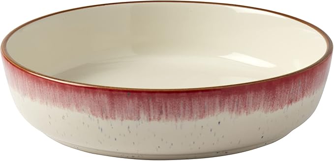Tabletops Gallery Speckled Farmhouse Collection- Stoneware Dishes Service for 4 Dinner Salad Appetizer Dessert Plate Bowls, 12 Piece Hanover Dinnerware Set in Berry