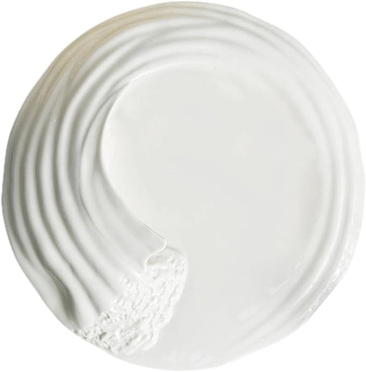 HEALLILY Ceramic Food Plate Creative Snack Serving Dish Western Style Porcelain Platter for Sushi Salad and Appetizers Easy to Clean for Weddings Gatherings