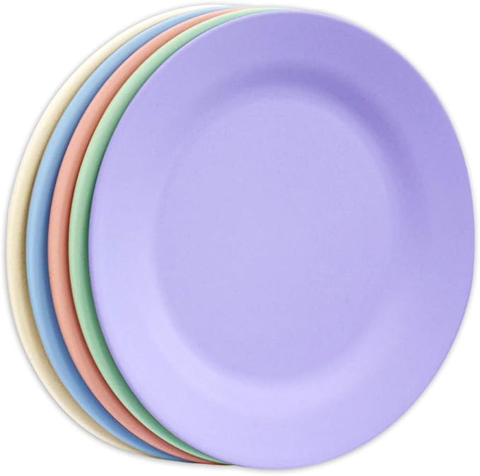 11 Inch Dinner Plate Set, Extra Large Pasta Plates, Unbreakable Dishes, Lightweight Wheat Straw Salad Dinnerware, Reusable Fiber Dessert Tableware (5 Pack, Assorted Color)