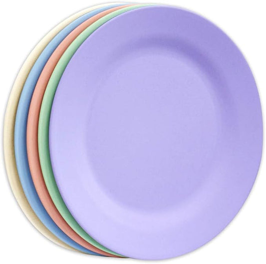 11 Inch Dinner Plate Set, Extra Large Pasta Plates, Unbreakable Dishes, Lightweight Wheat Straw Salad Dinnerware, Reusable Fiber Dessert Tableware (5 Pack, Assorted Color)