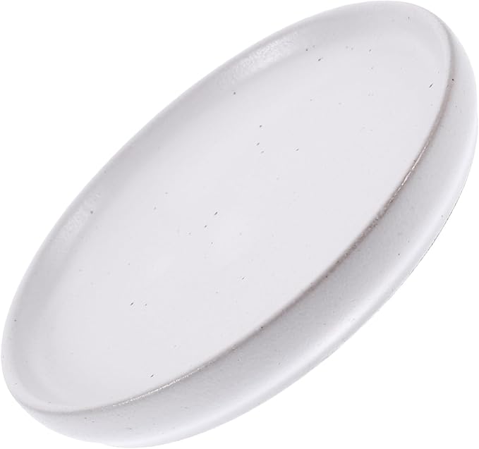 PRETYZOOM Sushi Dish Decorative Dessert Plate Vintage Ceramic Food Serving Plate for Appetizers and Snacks Design for Restaurants and Parties