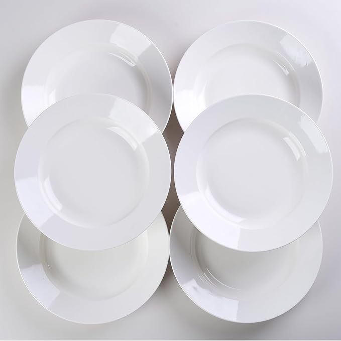 Vitrelle 6-Piece Salad Plates Set Triple Layer Glass and Scratch Resistant, 9.5 Inch Lightweight Round Plates, Winter Frost White