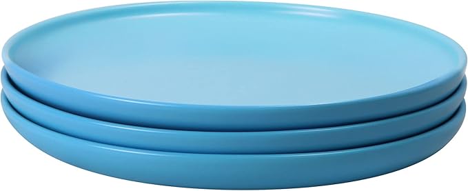 10 Inch Dinner Plates, Matte Blue Ceramic Plates Set of 3, Scratch, Microwave & Dishwasher Safe