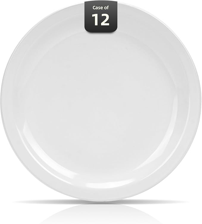 Stoneware Narrow Rim Commercial Grade Dinnerware Bright White, Dinner Plate 10.5"， Case of 12