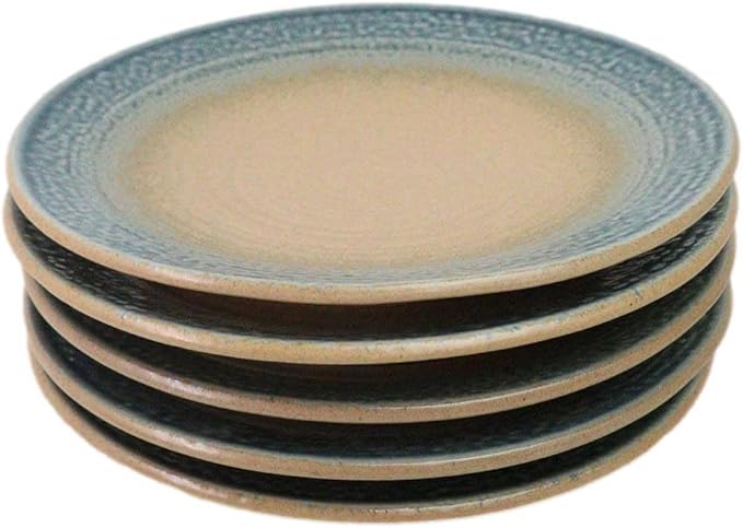 Ebros Gift Artistic Blue River Ao Nagashi Collection Dinnerware Serveware Kitchenware Set Asian Japanese Restaurant Supply (Pack Of 5 Large Round Dinner Plates 10" D)