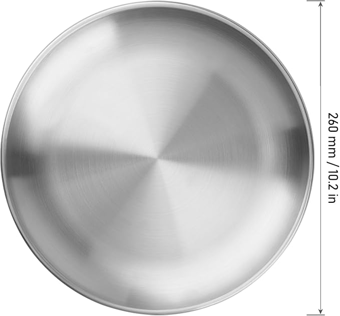 MOUYAT 6 PCS 10 Inch Stainless Steel Plate, 26cm Round Dinner Metal Plates, Metal Salad Steak Plates Reusable Dinner Dish for Eating Serving Camping Outdoor BBQ Home Kitchen, Frosted Silver