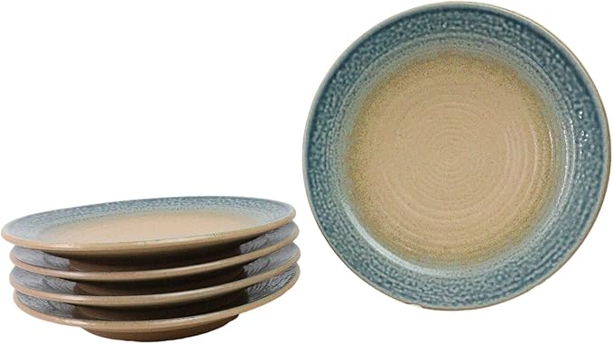 Ebros Gift Artistic Blue River Ao Nagashi Collection Dinnerware Serveware Kitchenware Set Asian Japanese Restaurant Supply (Pack Of 5 Large Round Dinner Plates 10" D)