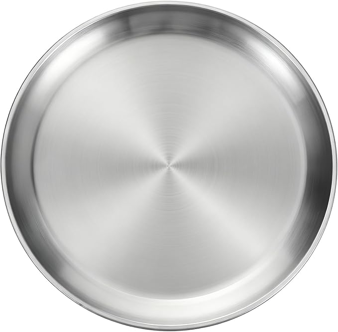 Silver Metal Serving Tray 10" Round Tray Stainless Steel Kitchen Dish Plates Rust-Proof Camping Serving Platter Metal Display Trays for Coffee Table Bar Party Club Home Ottoman, 10.3 inch/26.2 cm