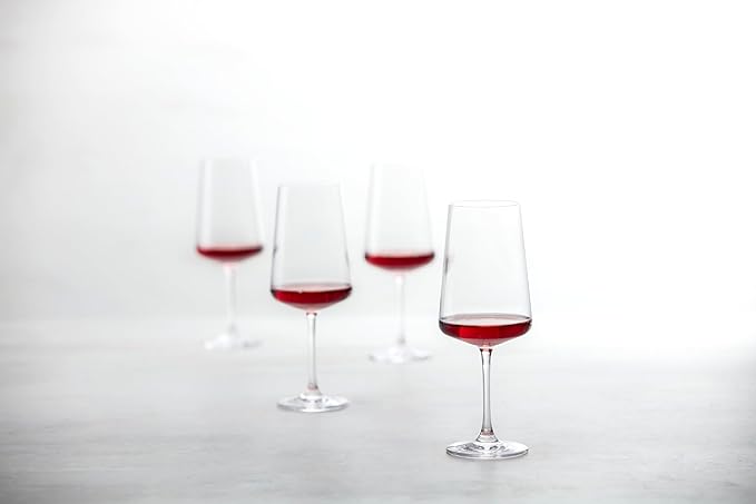 Schott Zwiesel MioVino German Made Crystal Glass, 17 Oz. Red Wine (Set of 4), Clear