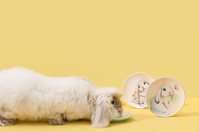 Bico Pastel Lop Bunny 6 inch Ceramic Appetizer Plates, Set of 6, for Salad, Appetizer, Snacks, Plates Microwave & Dishwasher Safe