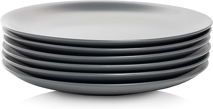 10 Strawberry Street Wazee Matte 10.5" Coupe Dinner Plate, Set of 6, Charcoal Gray