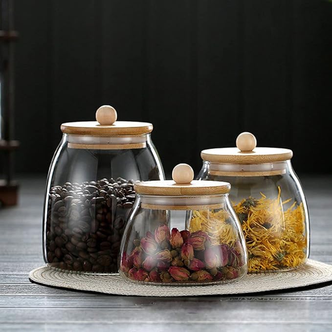 Glass Canister with Lid Glass Jar with Airtight Bamboo Lid 20 OZ Apothecary Jar 600ml (G-M)