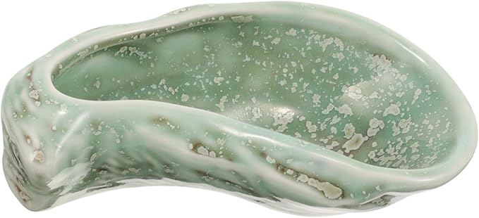 Elegant Ceramic Plates Oyster Shell Design Food Serving Dinnerware Versatile