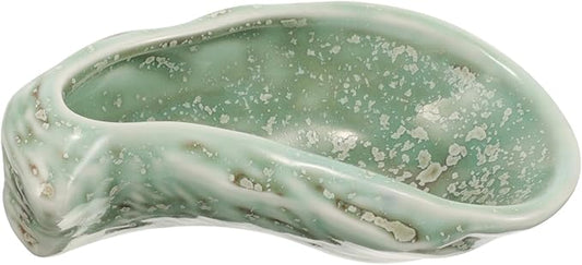 Elegant Ceramic Plates Oyster Shell Design Food Serving Dinnerware Versatile